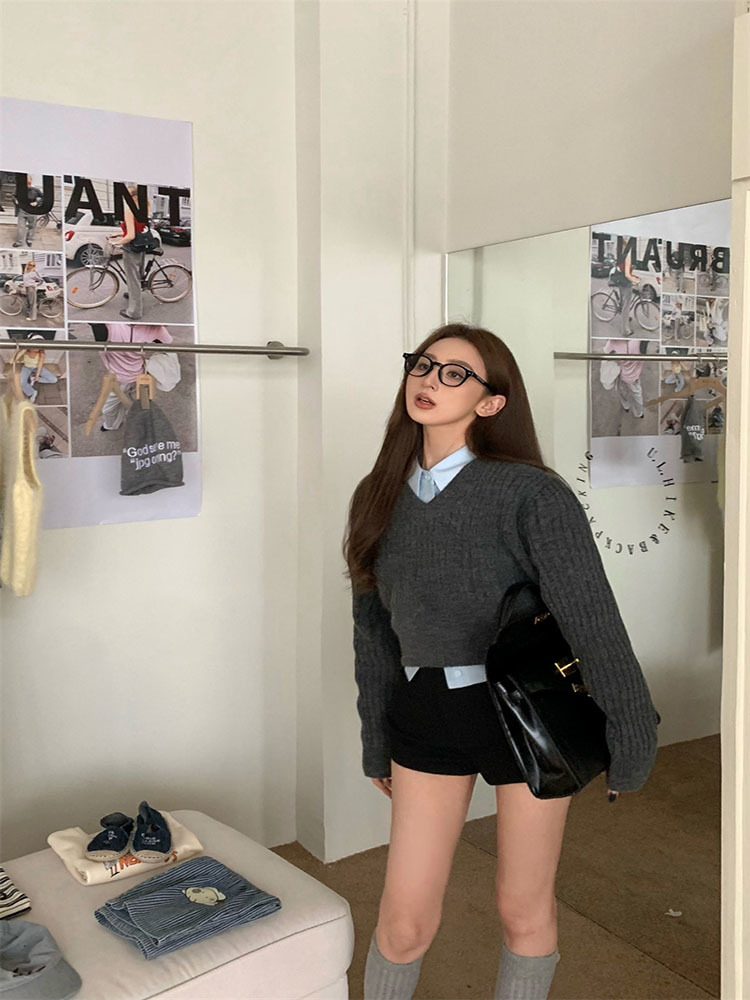 Basic Grey Cropped Sweater Wom - đánh giá và giá Vintage Fashion Style Female